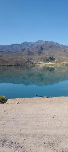 عکس لاله زار