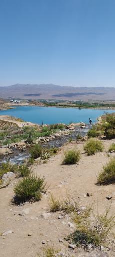 عکس لاله زار