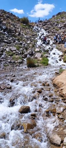 عکس لاله زار