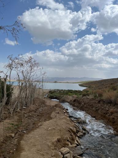 عکس لاله زار