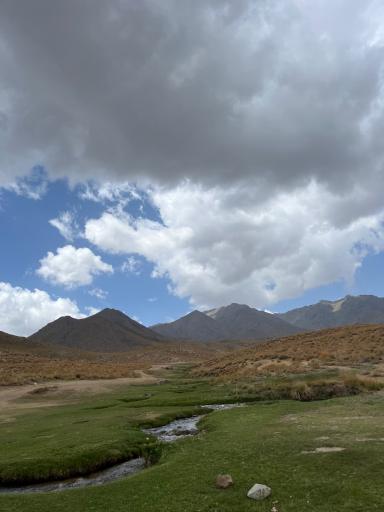 عکس لاله زار