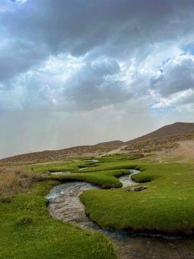 عکس لاله زار