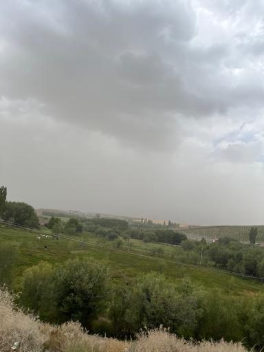 عکس لاله زار