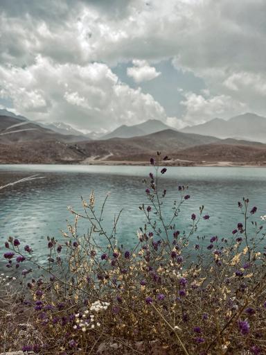 عکس لاله زار