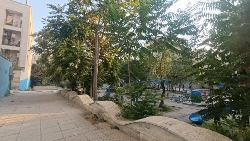 عکس پارک شباهنگ