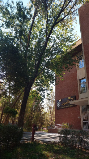 عکس دانشکده اقتصاد