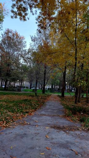 عکس دانشکده اقتصاد