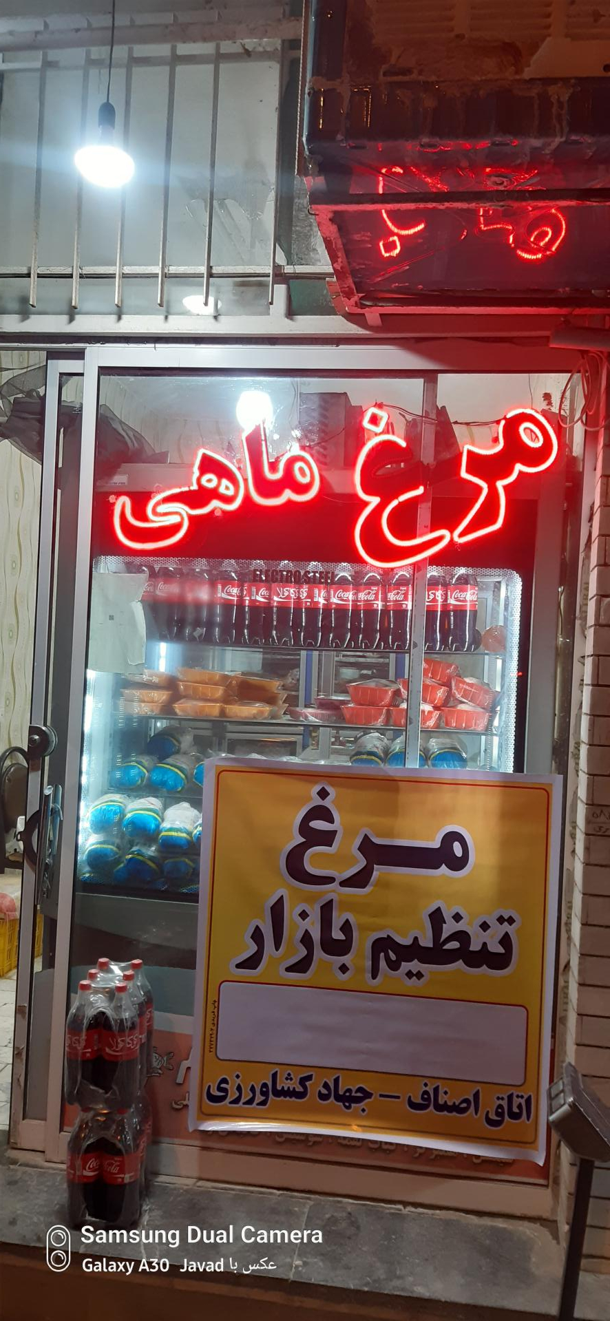 عکس مرغ و ماهی زرعی