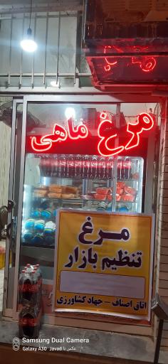 عکس مرغ و ماهی زرعی