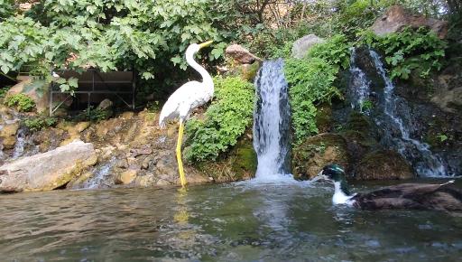 عکس آبشار آسیاب خرابه جلفا