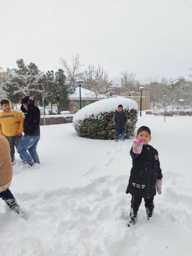 عکس بوستان آرامش