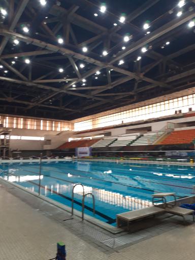 عکس استخر قهرمانی آزادی