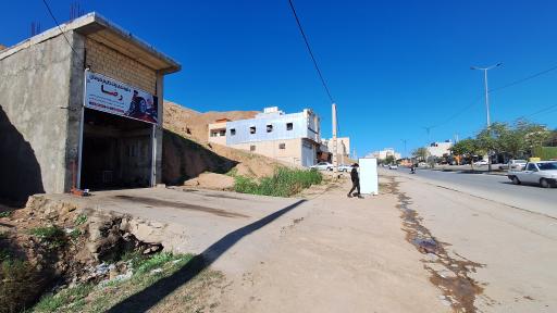 جلوبندی و تنظیم فرمان رضا