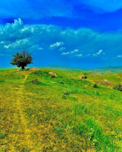 عکس حاجی یوسفلو علیا