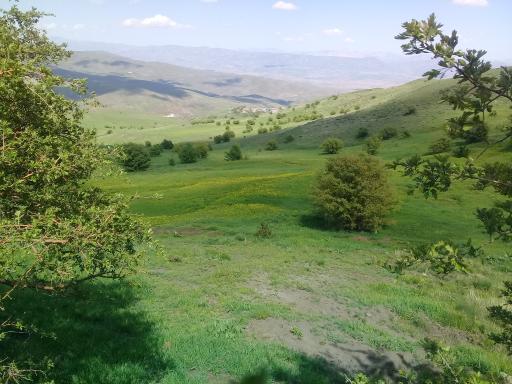 عکس حاجی یوسفلو علیا