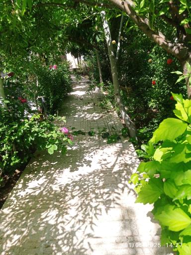 عکس باغ صفار 