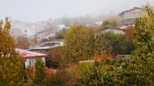 عکس حاجی یوسفلو علیا