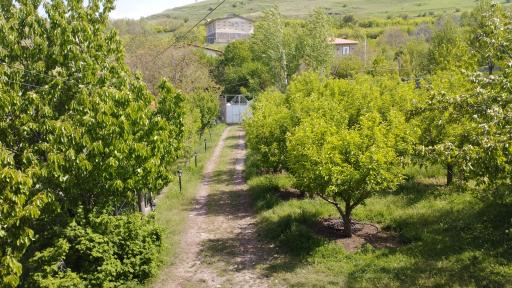 عکس حاجی یوسفلو علیا
