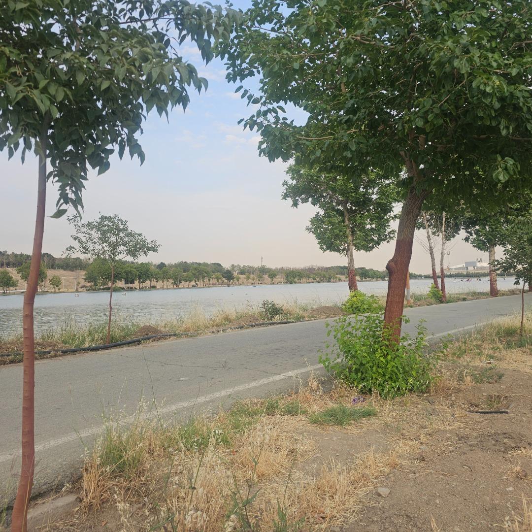 عکس استخر قهرمانی آزادی