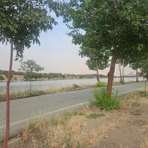 استخر قهرمانی آزادی