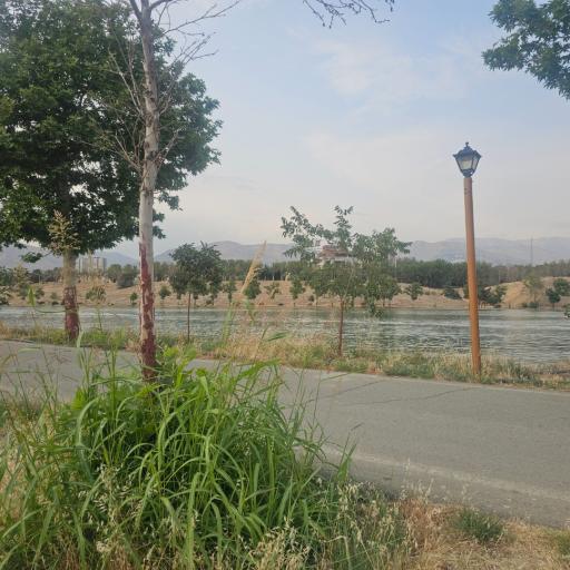 استخر قهرمانی آزادی