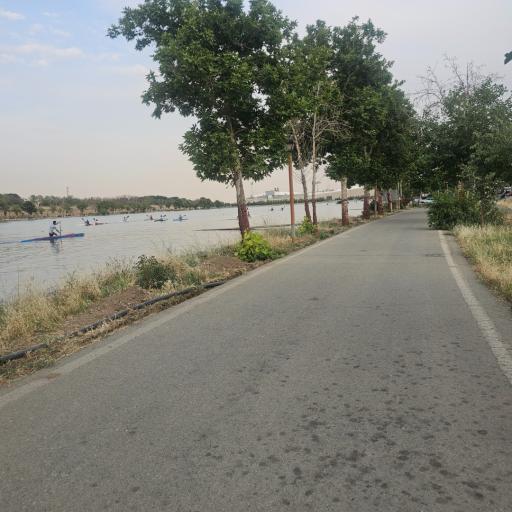 عکس استخر قهرمانی آزادی