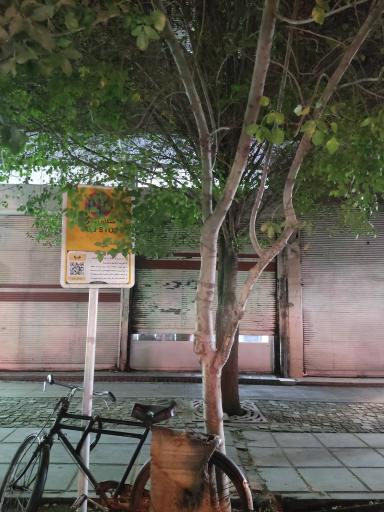 عکس عمار یاسر