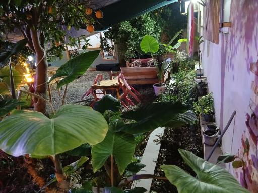 عکس سفره سرای سنتی خونه باغ