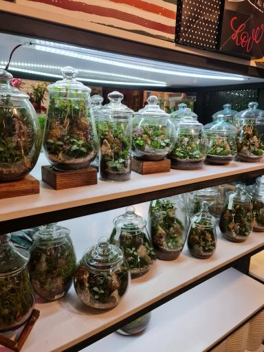 گل فروشی گرین آمازون