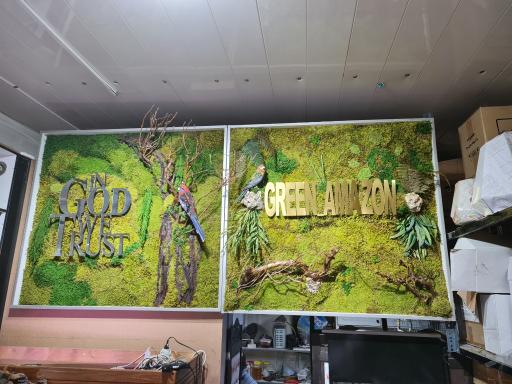 عکس گل فروشی گرین آمازون