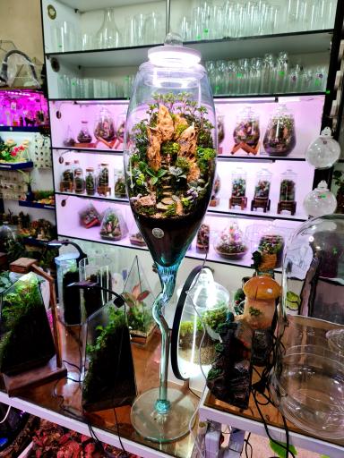 عکس گل فروشی گرین آمازون