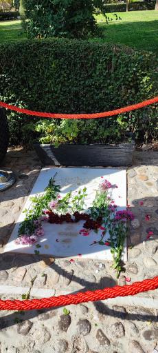 عکس آرامگاه استاد محمدرضا شجریان