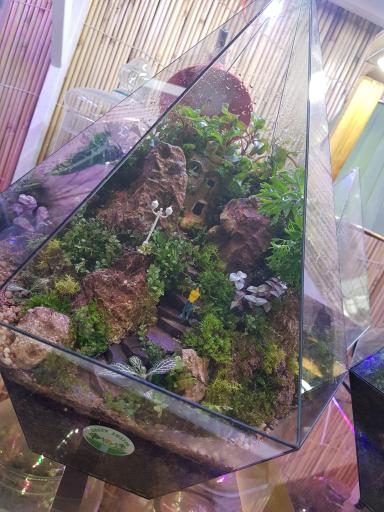 عکس گل فروشی گرین آمازون