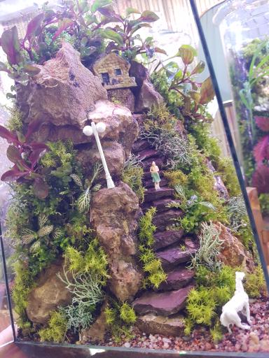 عکس گل فروشی گرین آمازون