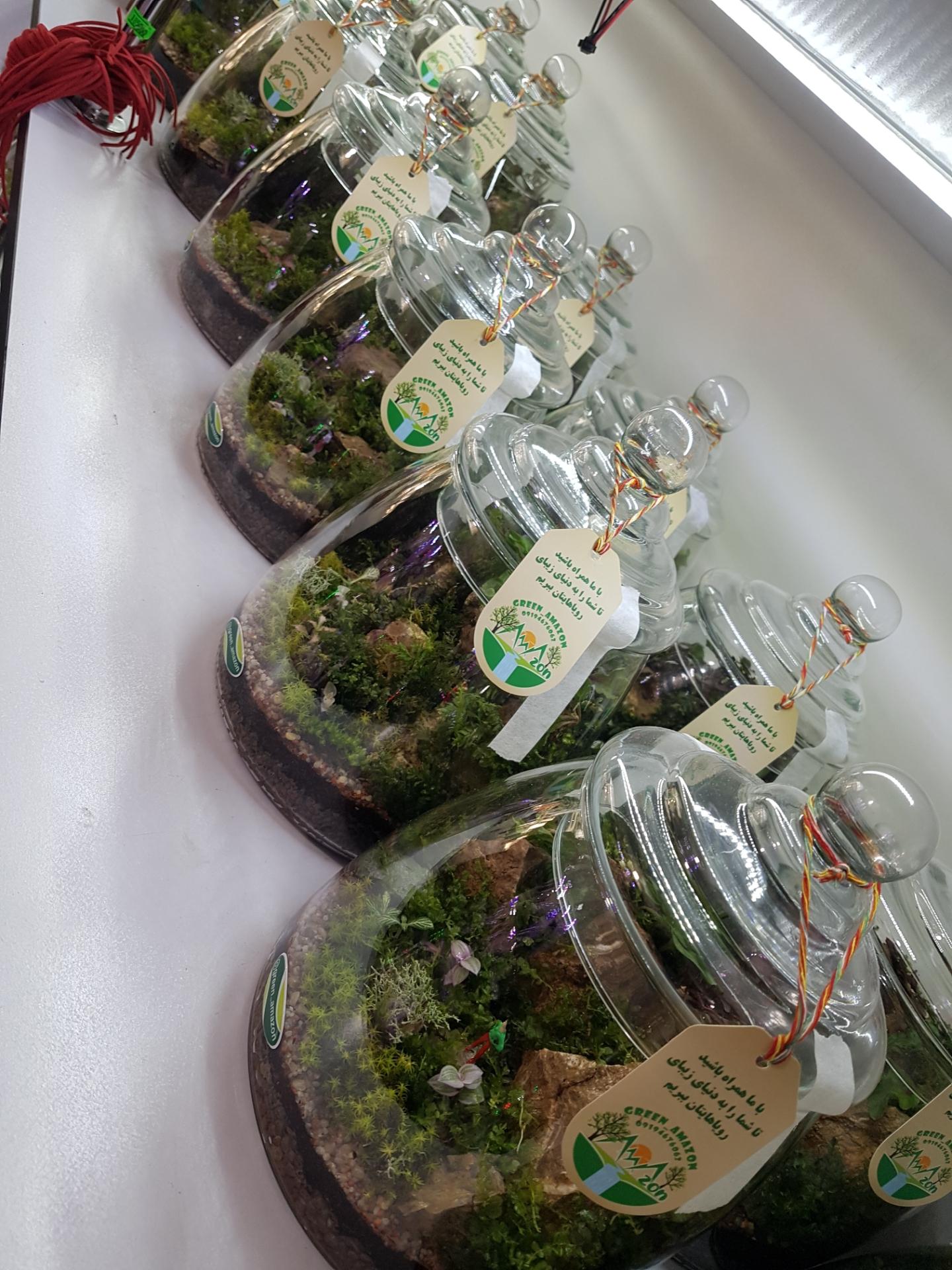 عکس گل فروشی گرین آمازون