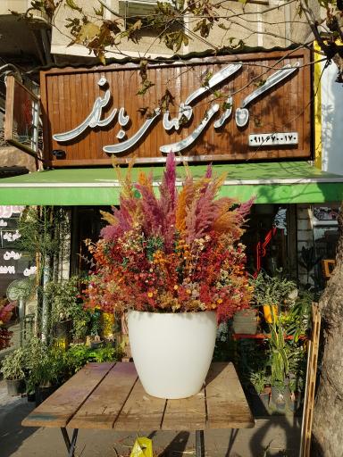 عکس گل فروشی گلهای بارانی