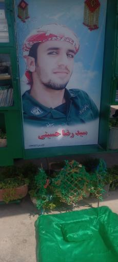 عکس مزار شهید رضا حسینی