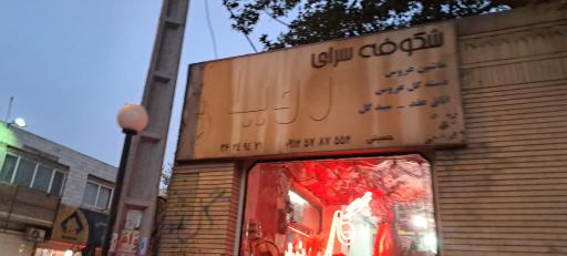 عکس گل فروشی رویا