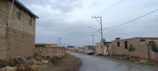 عکس تجره