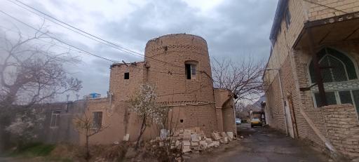 عکس تجره