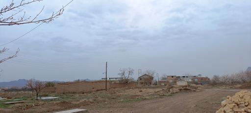 عکس تجره