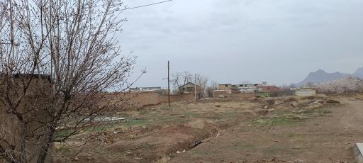 عکس تجره
