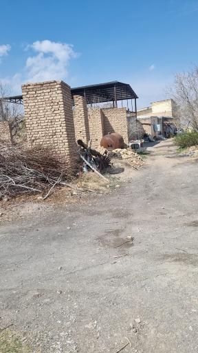 عکس تجره