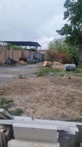 عکس تجره