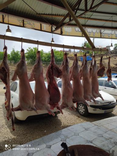 عکس رستوران اسب بونی