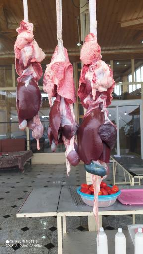 عکس رستوران اسب بونی