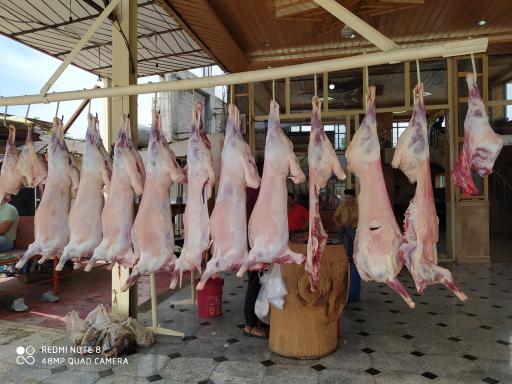 عکس رستوران اسب بونی