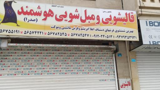 عکس قالیشویی هوشمند صدرا 