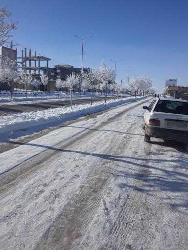 عکس زرین رود