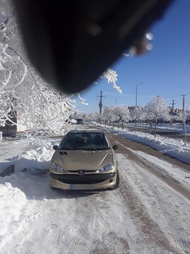 عکس زرین رود